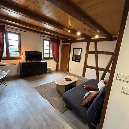 Lägenhet Le Rustique Turckheim